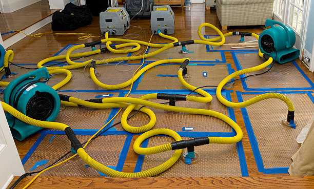 Professional Water Damage Repair technician working in Marion, KS